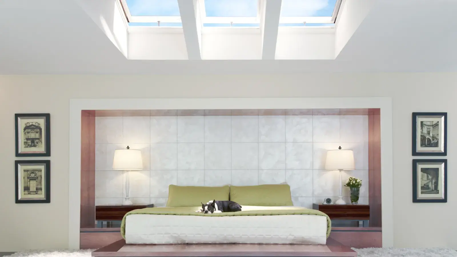 Skylight Repair & Replacement