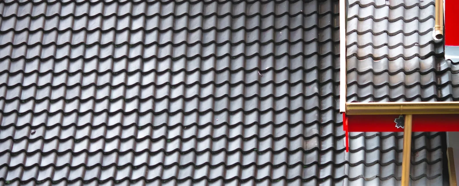 Close-up of gray scalloped roof tiles