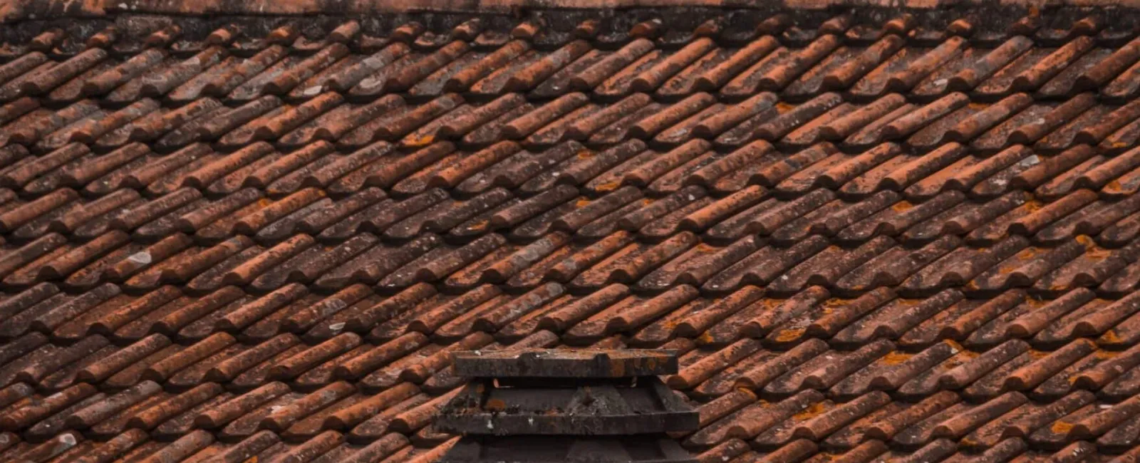 Close-up of a brown clay tile roof